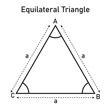 Properties of equilateral triangle in mathematics. Three sides with same length. Geometric shape. Vector illustration isolated on white background.