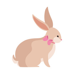 cute rabbit farm animal