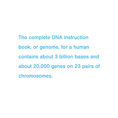 Medical information of DNA