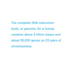 Obraz premium Medical information of DNA