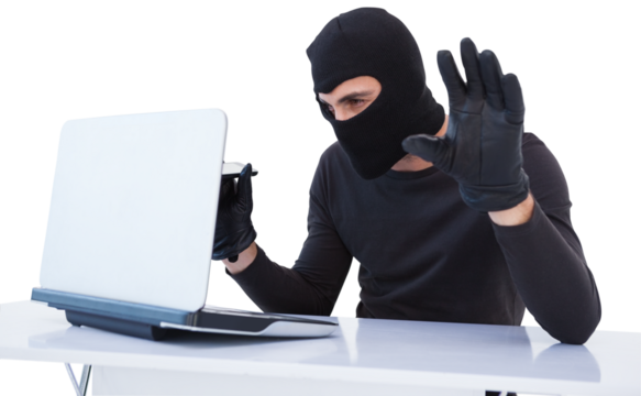 Focused burglar hacking into laptop