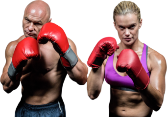 Portrait of boxers with gloves