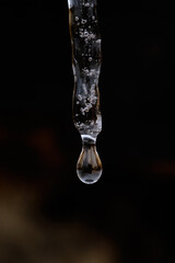 close up, macro of water drop forming and falling from single isolated icicle in front of dark background
