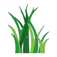 Green Grass Illustration