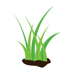 Green Grass Illustration