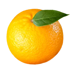 Plexiglas foto achterwand Orange with a green leaf © vectorfusionart