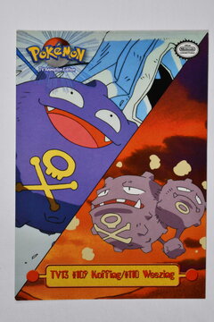 Koffing and Weezing.