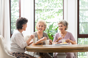Happy senior Chinese friends having afternoon tea at home
