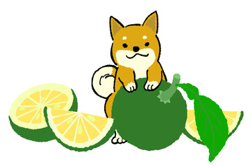 Kabosu and dog illustration