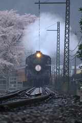 桜をバックに走る蒸気機関車