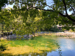 Fototapeta na wymiar lake and park in Japan