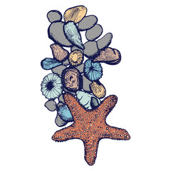 Illustration of seashell and pebbles
