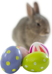 Patterned Easter eggs against bunny