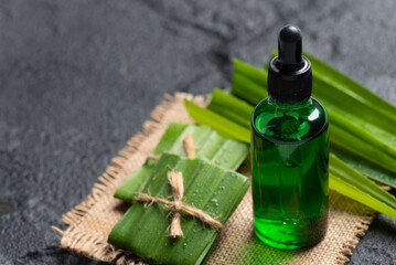 Pandan (screwpine) essential oil with fresh green pandan on dark stone background