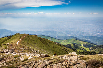 Fototapeta na wymiar View from the trail to Kumbel Peak to Three Brothers Peak, Kok Zhailau and the city of Almaty.