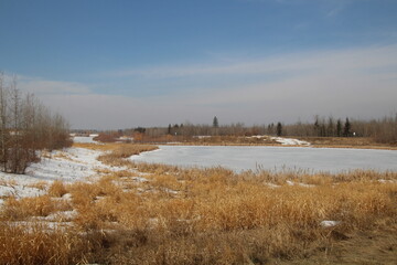 April On The Wetlands