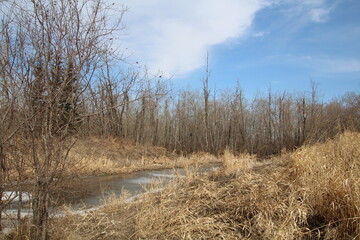 melting creek