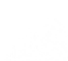 Decorated christmas tree