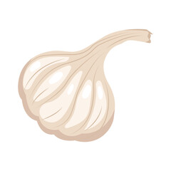 Garlic organic food cartoon style vector illustration