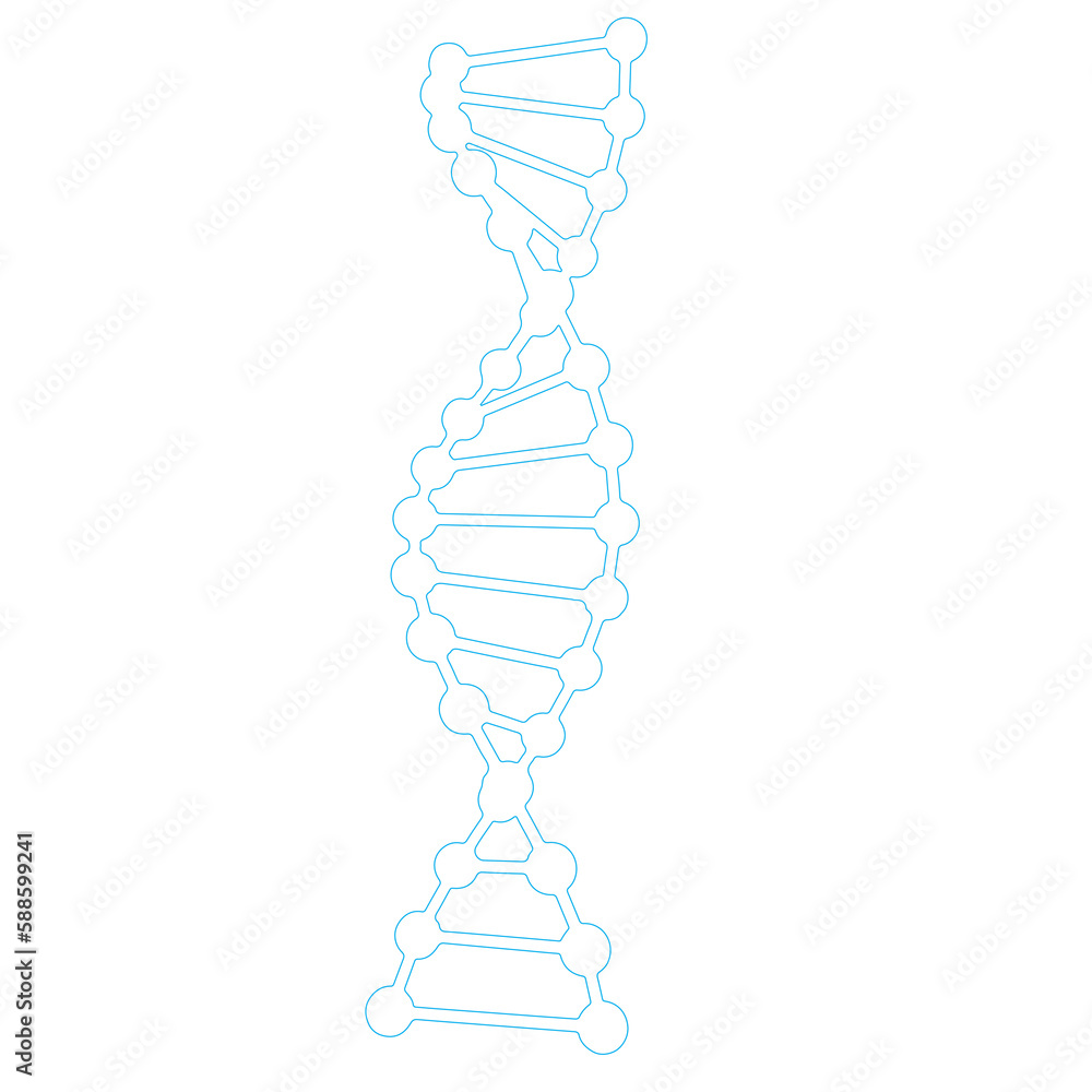 Sticker diagram of dna