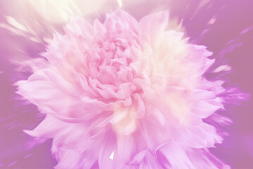 pink flower