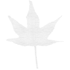 Digital composite of maple leaf