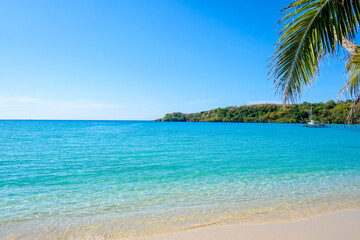 Plakat Beautiful tropical beach with palm tree and blue sky for travel in holiday relax time in summer