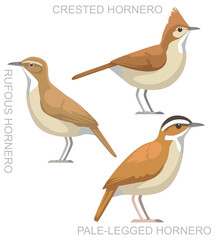 Cute Bird Hornero Set Cartoon Vector