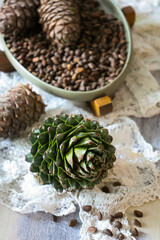 pine cones, large green pine cone and pine nuts, cones and nuts, selective focus