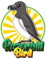 Razorbill bird logo with carton character