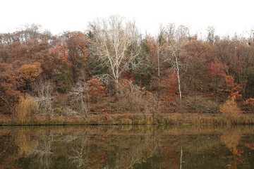 autumn trees in the lake
