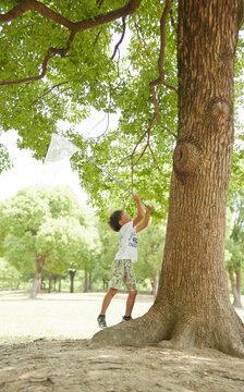 木に止まった虫を虫網で捕まえようとする男の子