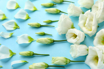 Composition with beautiful eustoma flowers and petals on color background, closeup