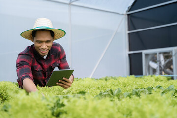 happy male gardener working in Hydroponics greenhouse farm garden. Agro cultivation and small business concept