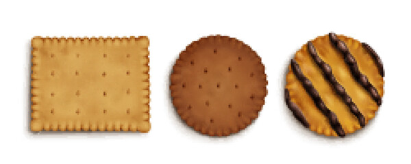 Realistic set of crispy cracker cookies isolated on white background. Vector illustration of salty, chocolate, sweet biscuits top view. Fresh homemade dessert. Bakery assortment, menu design elements