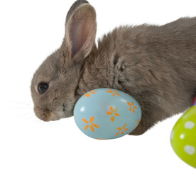 Fototapeta premium Bunny with floral pattern Easter egg