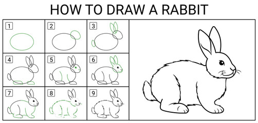 How to draw a rabbit? - 9 steps how to draw a rabbit from simple shapes. Vector illustration for self-drawing. Lessons in drawing a cute hare. - 588621064