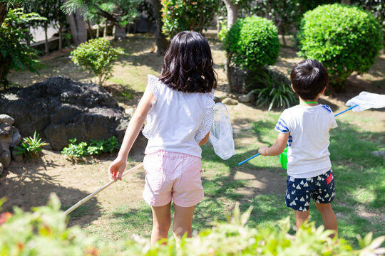 虫取りをする姉弟