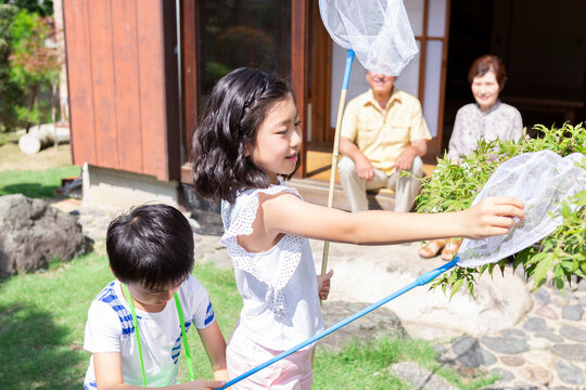 虫取りをする姉弟と祖父母