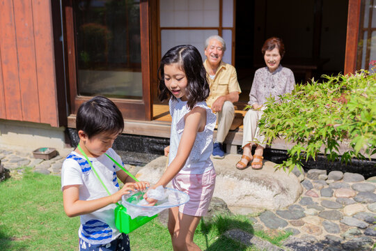 虫取りをする姉弟と祖父母