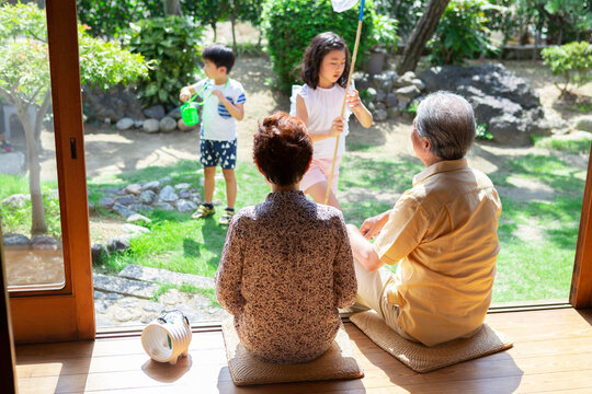虫取りをする姉弟と祖父母