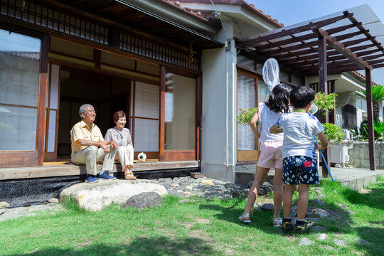 虫取りをする姉弟と祖父母