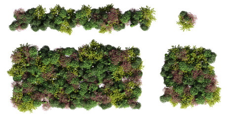 trees in the forest, top view, area view, isolated on transparent background, 3D illustration, cg render
