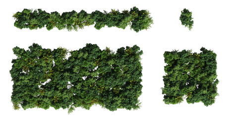 trees in the forest, top view, area view, isolated on transparent background, 3D illustration, cg render
- 588624085