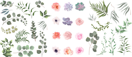 Vector set of flowers and herbs. Pink roses, white anemones, succulent, flowers and plants on a white background. Collection of greenery, eucalyptus. © Alena