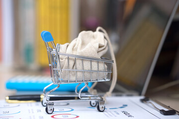 Money bags and shopping desires