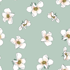 Seamless floral pattern with white flowers of rose hip on light green background.