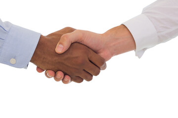 Close-up shot of a handshake in office