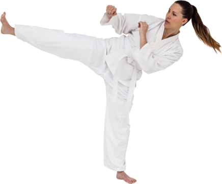 Fighter performing karate stance