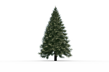 Digitally generated green fir tree